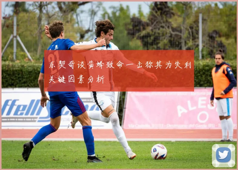 东契奇谈黄蜂致命一击称其为失利关键因素分析