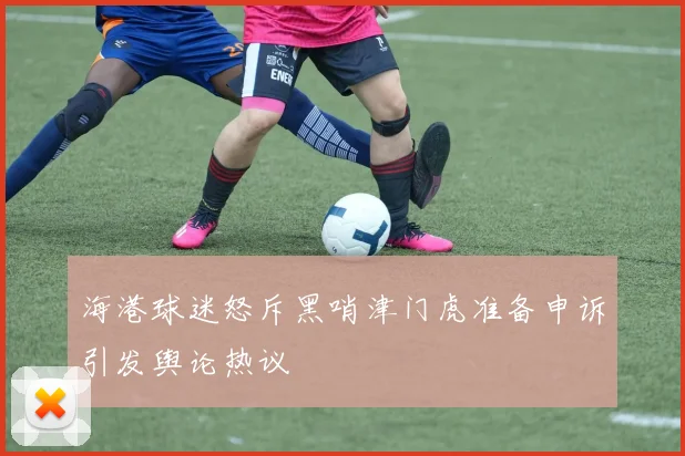 海港球迷怒斥黑哨津门虎准备申诉引发舆论热议